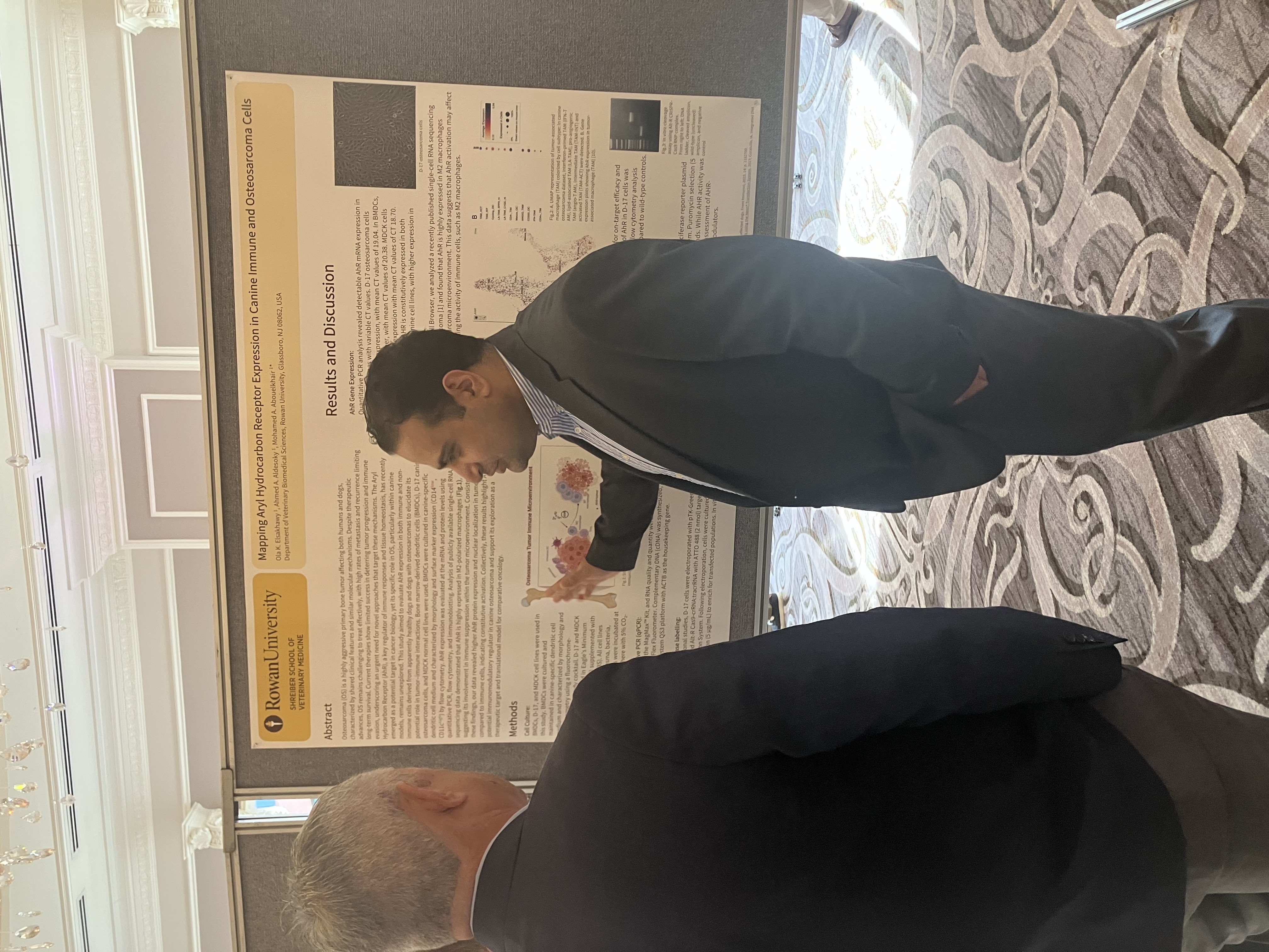 Dr. Mohamed Abouelkhair presenting research at a retreat event